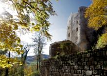 Ruine Homburg Herbst